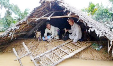 [-]Nhà[-]phao,[-]bão[-]lụt[-]và[-]nước[-]mắt[-]cộng[-]đồng